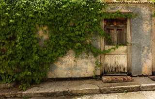 Savan: The Original Village