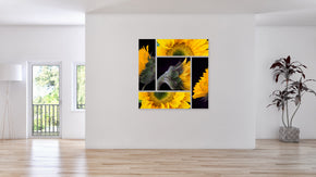 Sunflower, modern floral wall art